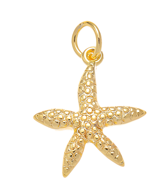 Starfish 2.0 Charm