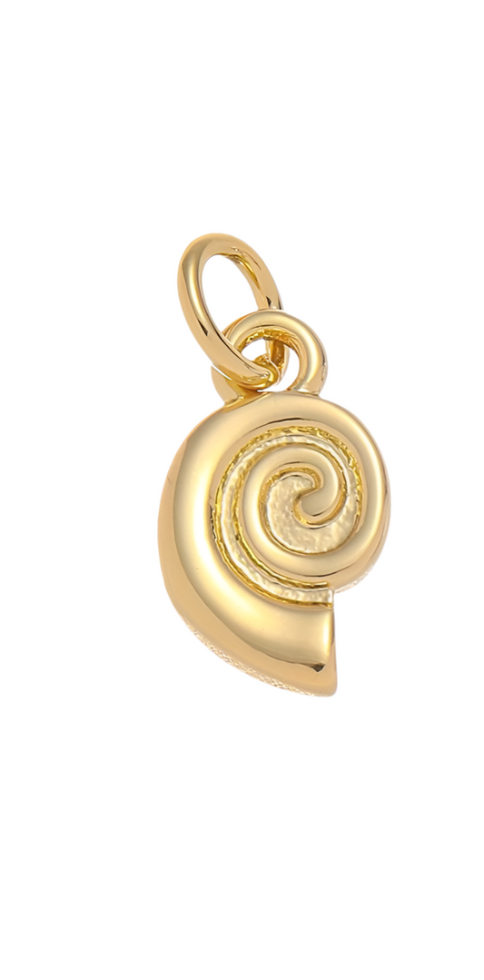 Snail Shell