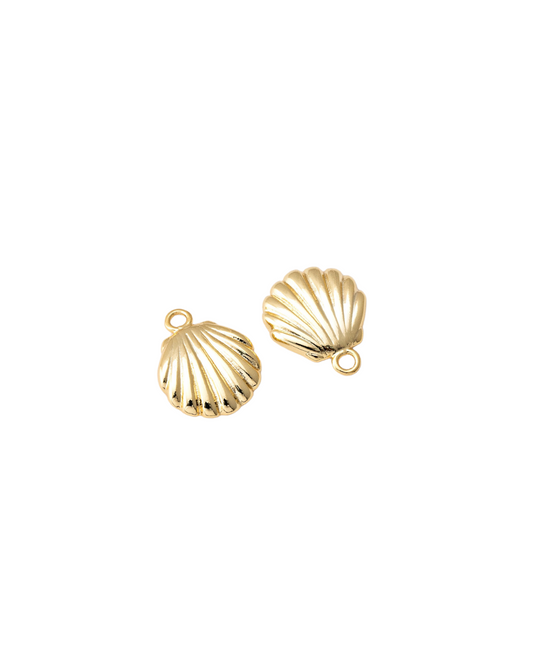 Shell Charm