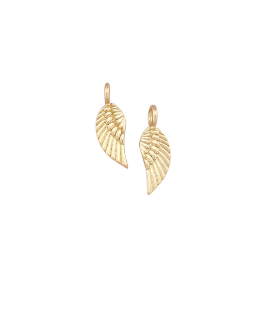 Wings Charm